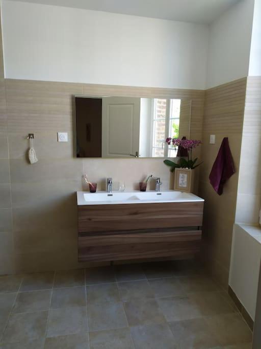 Maison De Charme Proche Gare Et Centre Ville Gaillac Εξωτερικό φωτογραφία